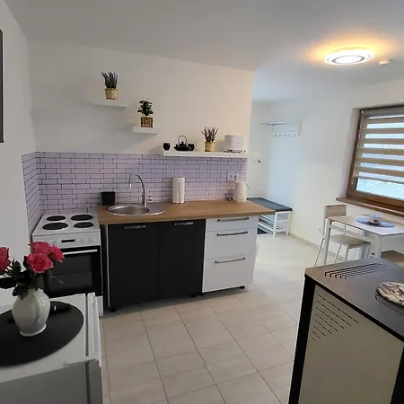Apartman Na Karlicku Karlov  Exterior foto